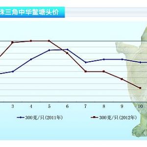 ���~������ɽ��嵭 �~�r�^�m�»� ������ˮ�aǰ�ء�2012��11�¿��Ј�څ��