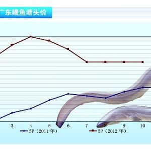 ���~�������Ѓr�^�m��ͦ������ˮ�aǰ�ء�2012��11�¿��Ј�څ��