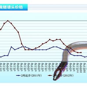 �S�X���p�������r�R�� �Bֳ�ɹ��ʸ���ȥ��