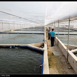 �V��������ˮ�a����^�p�~�Bֳ����