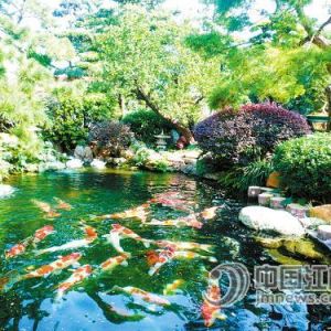 �I�߽��Խ��T�\���I�����и߶�·�� ������Ʒ�\��