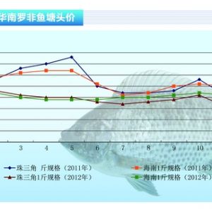 �_���~���r�񲨄����^ɽ܇ �B�����~�u�[����������ˮ�aǰ�ء�2012��12�¿��Ј�څ��