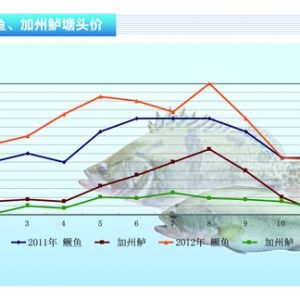 �����|���~�rƣܛ ���ڲ���С������ˮ�aǰ�ء�2012��12�¿��Ј�څ��