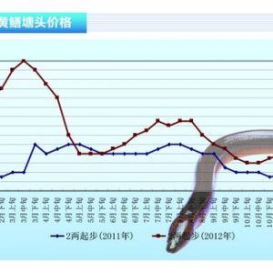 ���~�������y�� ��Ҏģ�����������ӡ�����ˮ�aǰ�ء�2012��12�¿��Ј�څ��