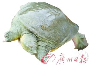 ���M�a�I����ʳ ��a�Iע������