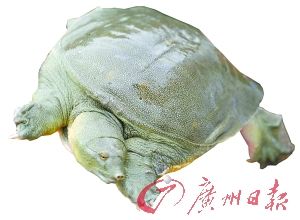 ���M�a�I����ʳ ��a�Iע������