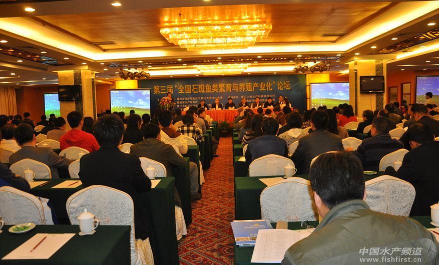 �����á�ȫ��ʯ���~����c�Bֳ�a�I����Փ���A�M��Ļ