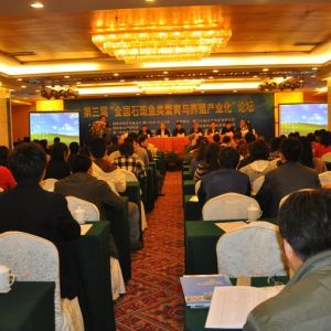 �����á�ȫ��ʯ���~����c�B(y��ng)ֳ�a(ch��n)�I(y��)����Փ���A�M��Ļ