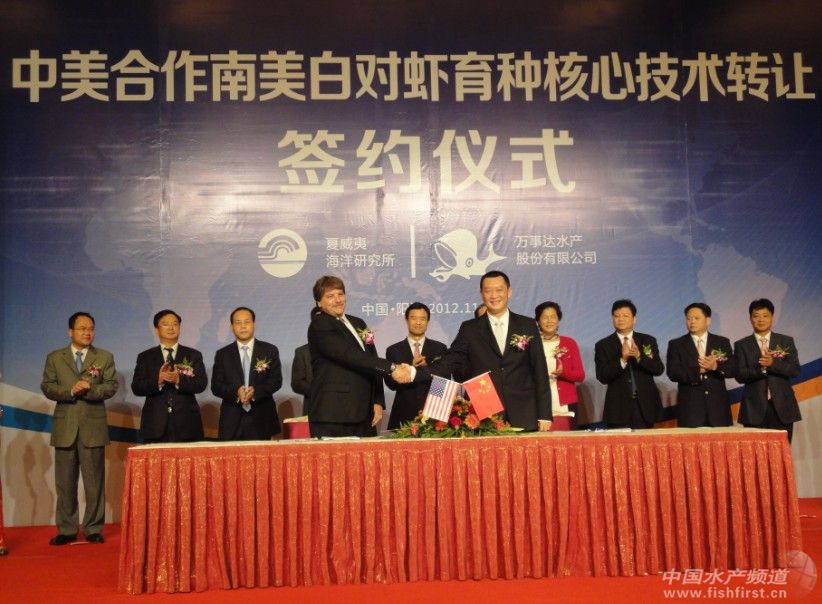 OI�H�r���g�D׌�������f���_