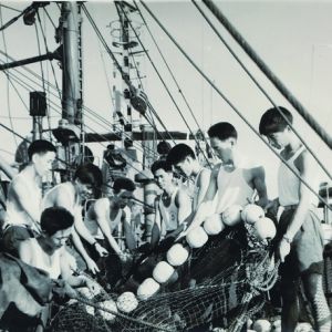 ���Ї���һ������ˮ�a(ch��n)�������Ϻ������W(xu��)�����A�Q