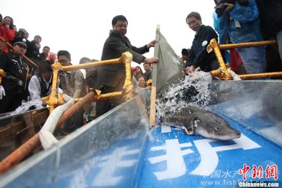 ���A�\�˹���ֳ���g�wϵ���� �@�ܾ���21�f��