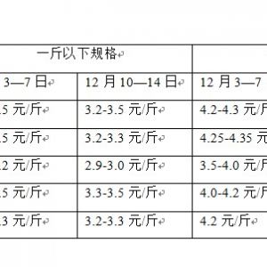 2012��12��10-14���_���~�܈�