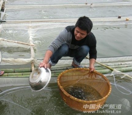 ���|�˹������p�� ���~�r����m����