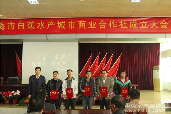 �����y���Y���׽����| ��߆Α��J500�f