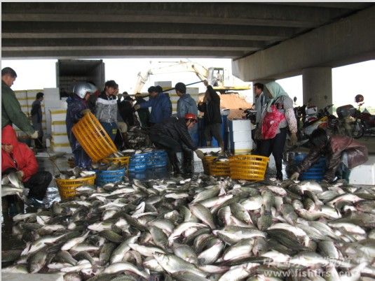 �׽�������VS���Ϸ�����