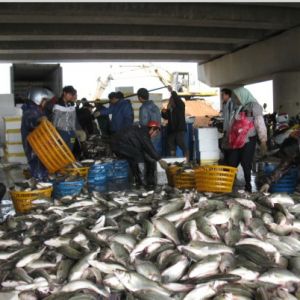 �׽�������VS���Ϸ�����