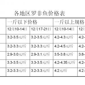 2012��12��17-21���_���~�܈�