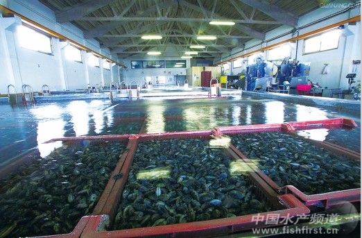 �����L������������ؐ���������A��