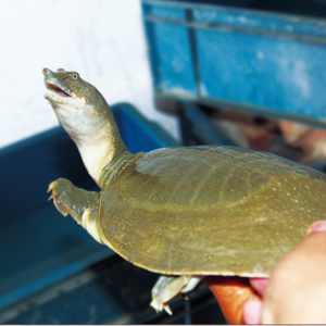 혵¼��~���ξ�����˼׃