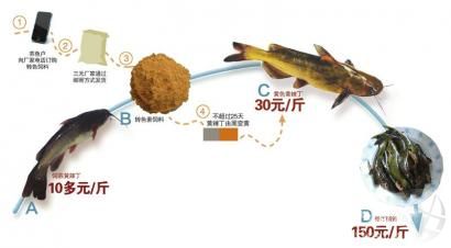 ���Dɫ�S�������L�ҾW�j��ʳƷ��ȫ�Εr�ݣ�