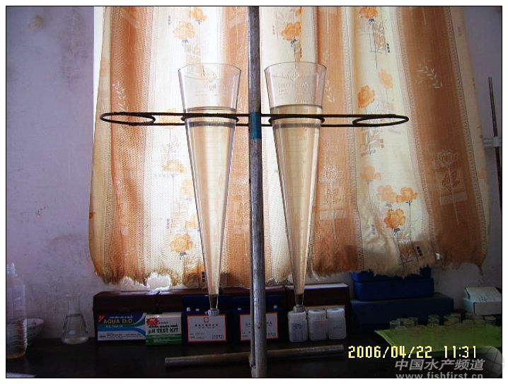 �������F�C�����R����