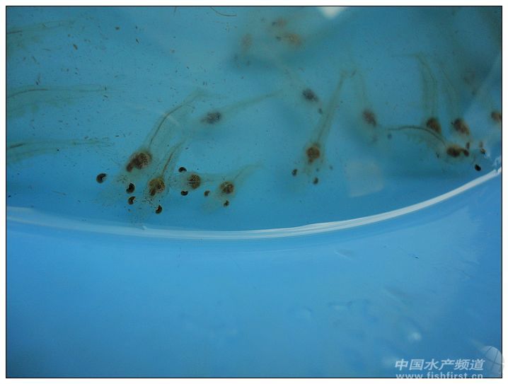 ���d�r(n��ng)������猦��EMS