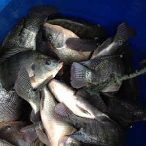 �_���~��2013���_������к�����