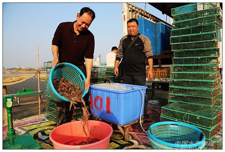 �V�|��ɽԽ�����r�r���j��