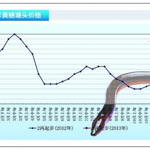 �S�X���qĩ����r������ ������؛�L�U���^�󡪡���ˮ�aǰ�ء�2013��2�¿��Ј�څ��