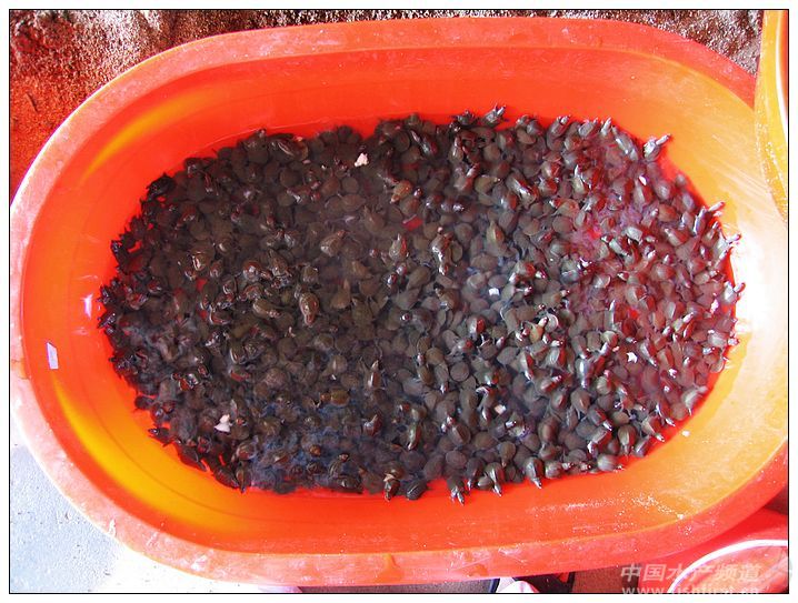 ���M�a(ch��n)�I(y��)40��  �L�L����ǰ����