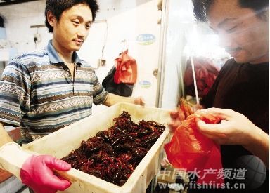 �������Y2�|��QС���r�����y�}