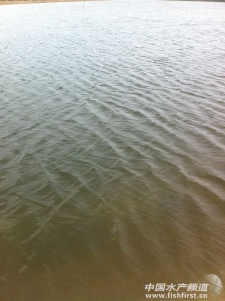 �����ġ���ٽܣ��D�y�Ľ������B(t��i)�B(y��ng)ֳ֮·