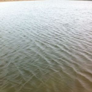 �����ġ���ٽܣ��D�y�Ľ������B�Bֳ֮·