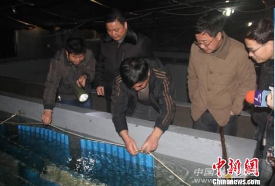 �v���㽭���u�ĿƼ��Bֳ�T����Ϧҹ���Oؐ��һ�K