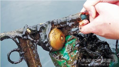 ˮ�a(ch��n)��(li��n)�W(w��ng)����δ�������B(y��ng)ֳ�ܼ�