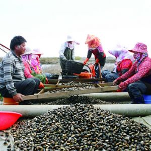 ��a(ch��n)6�f�����B(y��ng)ֳؐ�-�ĸ�(��)