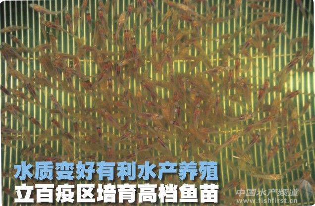 �R�����������߅^(q��)�����ߙn�~��