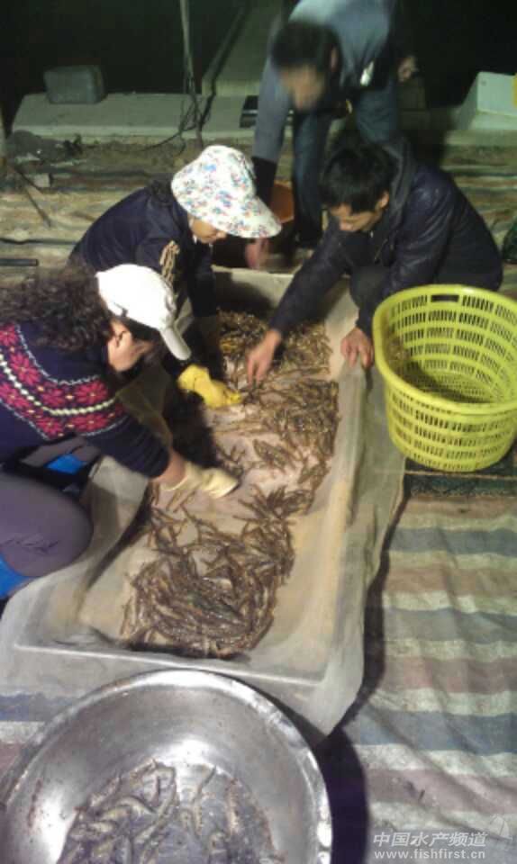 �����ձ����r�r�񱩵�50%������40Ԫ/��