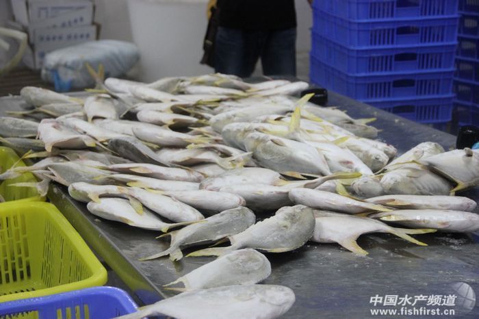 ���K�r��u�q���ӹ��S���ٰ��k�N��