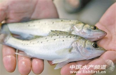 ���|��2013���ϰ���r�������^