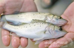 ���|��2013���ϰ���r�������^