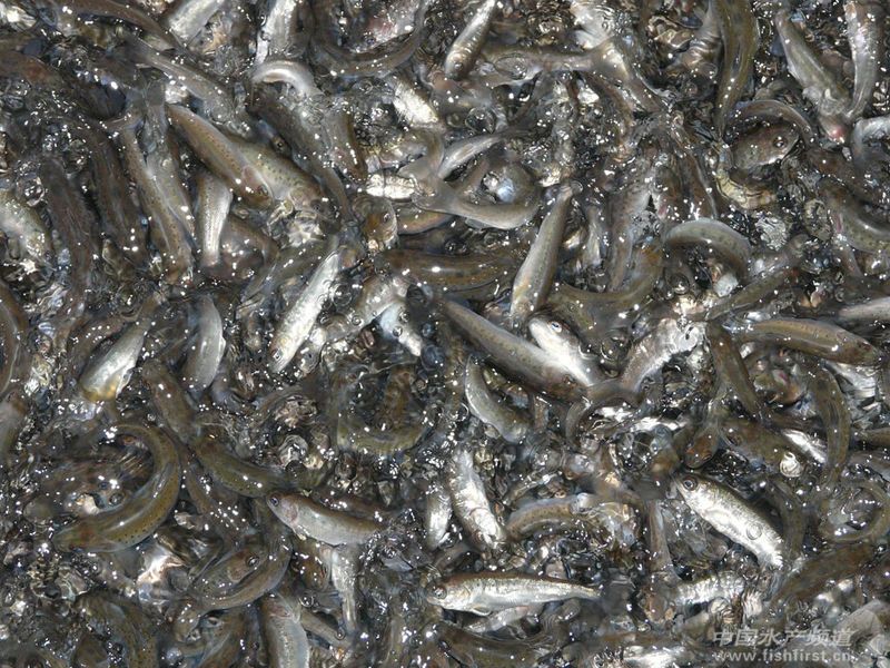 �r����� �V�|��ɽ���~��N�y�N