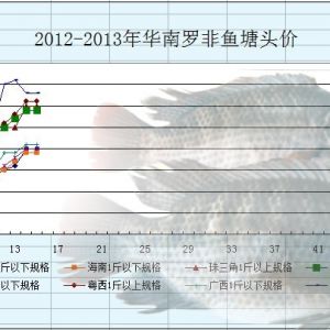 2013��2��25-3��1���_���~�܈�