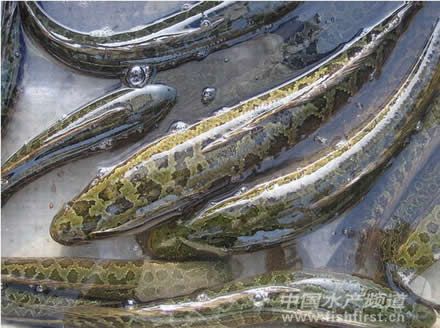 혵����~�r����� �Bֳ���M�˃��y