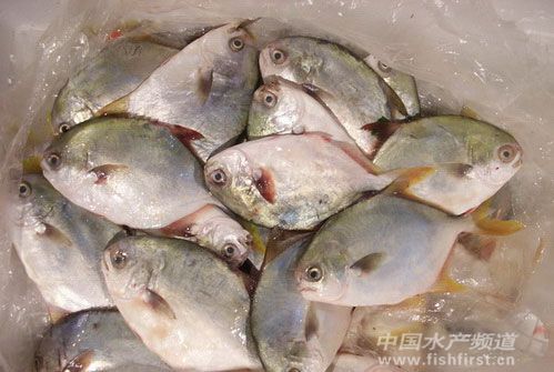 ���B�^�r����K�����������~�уr���