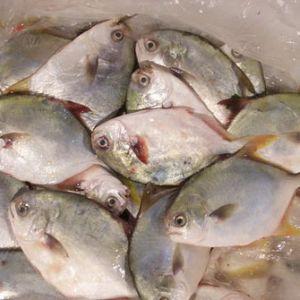 ���B�^�r����K�����������~�уr���