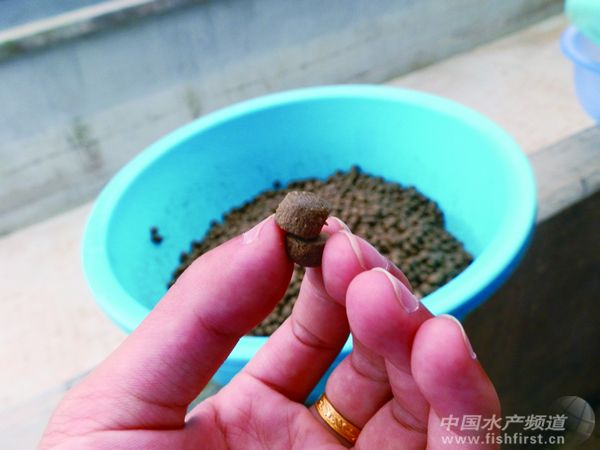 ����ʯ���~����Ј��{��