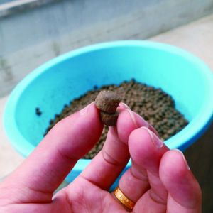 ����ʯ���~����Ј��{��