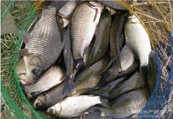 2013��V�|�����Bֳ���c�����B�a�~