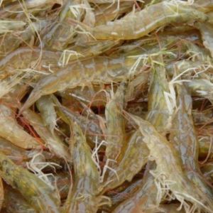 2013��3��4-8�������׌��r�Ј��܈�